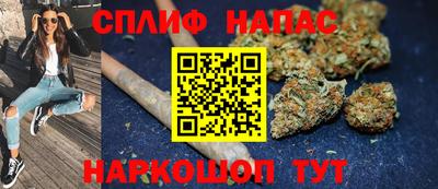 индика Ирбит