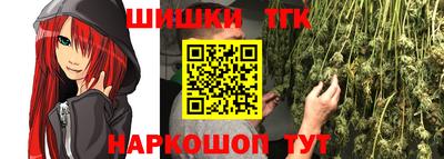 индика Ирбит